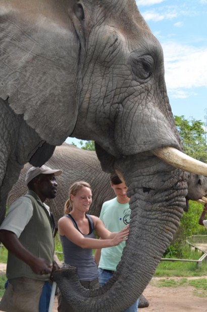 Elephant-Sanctuary---Hazyview-side-5