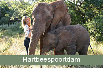 Elephant Sanctuary Hartbeespoortdam