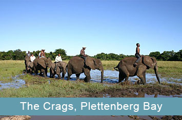 Elephant Sanctuary, The Crags, Plettenberg Bay