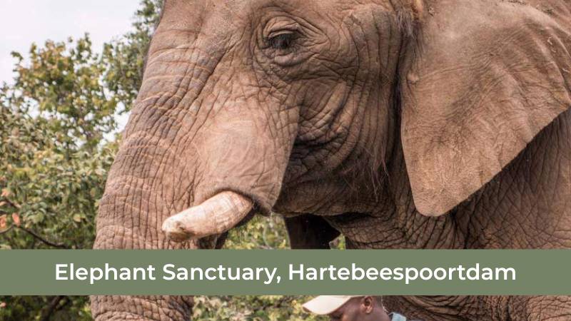 elephant sanctuary harties